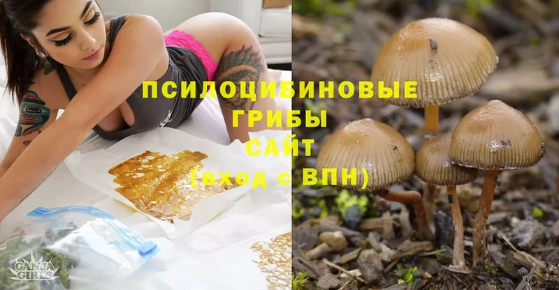 нарко площадка телеграм  Похвистнево  Галлюциногенные грибы MAGIC MUSHROOMS 